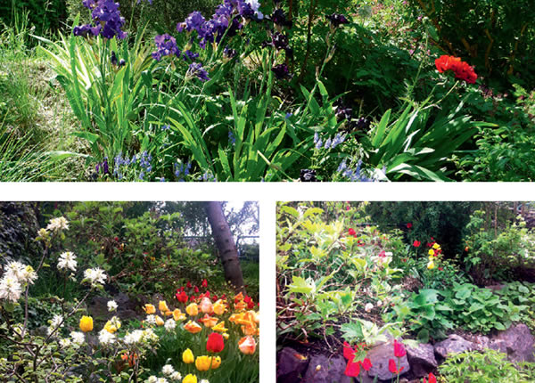 Aktuelles Garten Design Sommer