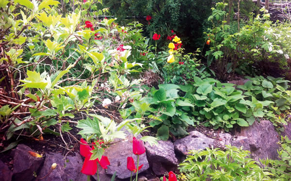 Garten Planung und Gestaltung
